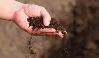 微生物肥料 土壤生態(tài)修復(fù)的綠色未來(lái)主力軍